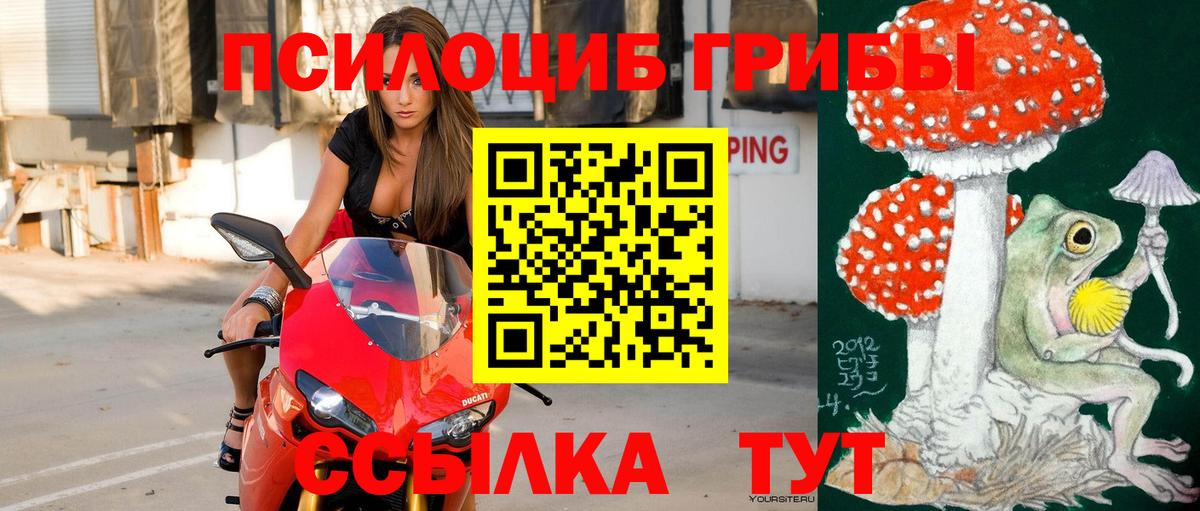 Галлюциногенные грибы мухоморы  Вход с VPN  Волгоград  Галлюциногенные грибы MAGIC MUSHROOMS 